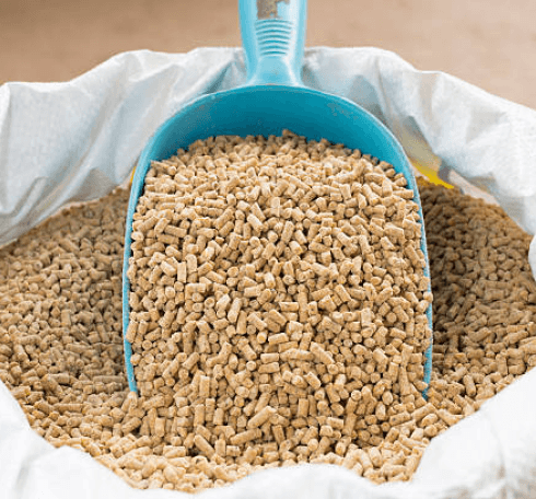 تفاوت دان مرغ تخم‌گذار و گوشتی در کنار به طور مثال-featured-image
